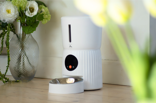 🐾 5 kreative måder at bruge din SmartFeeder på